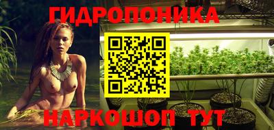 сатива Комсомольск-на-Амуре