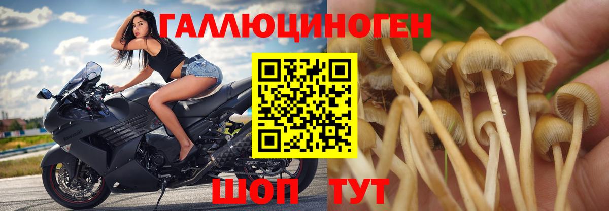 Красноярск  закладка  Галлюциногенные грибы ЛСД  Вход с VPN  Галлюциногенные грибы Magic Shrooms 