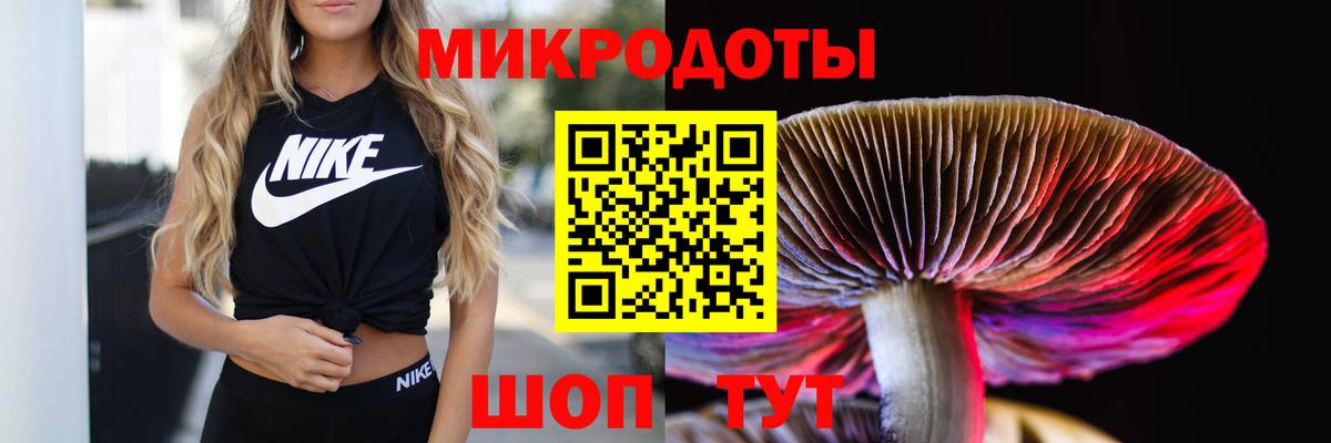 Псилоцибиновые грибы мухоморы Красноярск